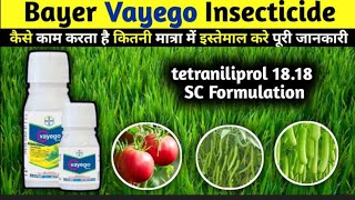 Vayego || वायगो बायर का शक्तिशाली कीटनाशक ||#bayercropscience