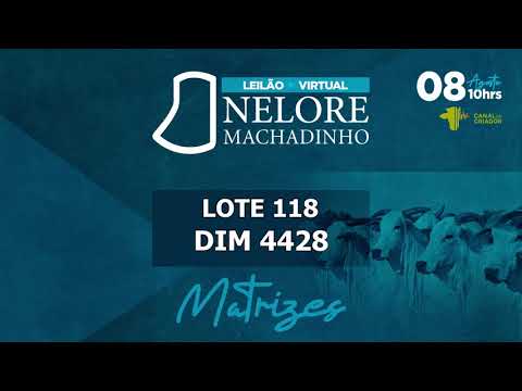 LOTE 118   DIM 4428