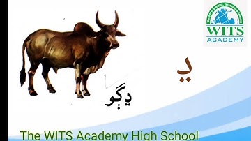 Class 3 to 4 Sindhi ja Akhar Week 5 | Online Class