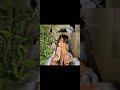 نور الغتدور