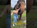 “Funniest Fails Compilation 2026 😂 Try Not To Laugh #shorts”