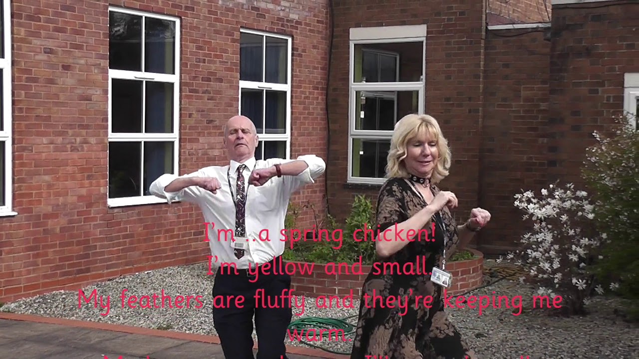 Hillstone's Spring ChickenSong