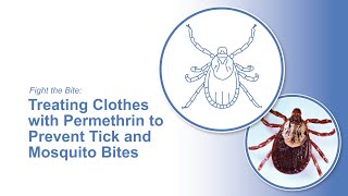 Fight the Bite: Treating Clothes with Permethrin to Prevent Tick and Mosquito Bites by Penn State Extension 126 views 2 months ago 4 minutes, 42 seconds
