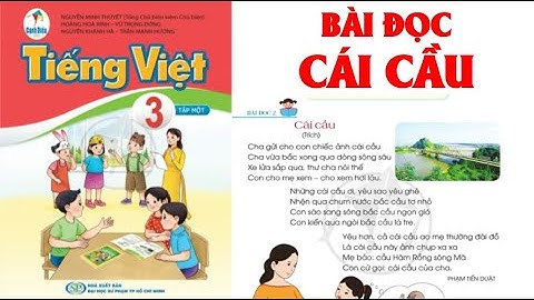 TIẾNG VIỆT LỚP  3: BÀI ĐỌC:CÁI CẦU SÁCH CÁNH DIỀU  (HAY NHẤT).