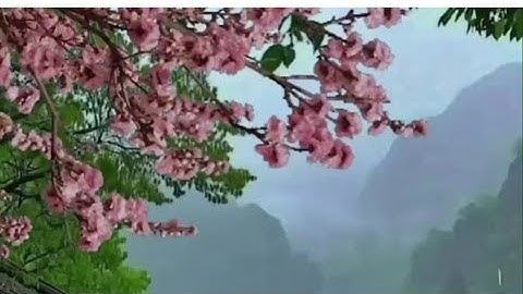 دعاء الفرج #قرآن #استغفار #دين #لايك #اذكار #explore #رزق #اكسبلور #foryou #viralvideo #اسلام #دعاء