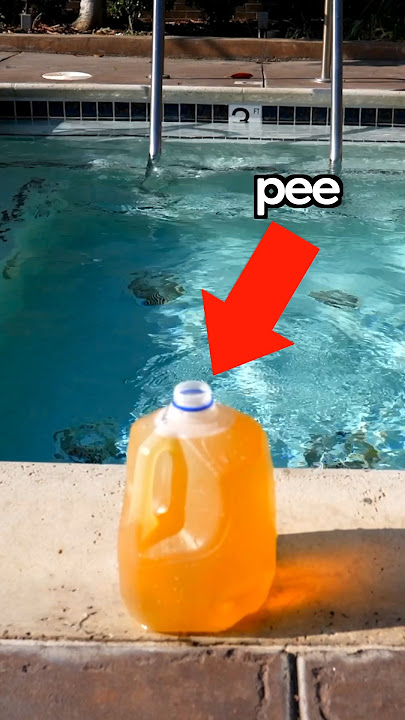 How much pee is in a pool?