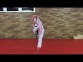 4. HYONG - WON-HYO - nach vorne - Taekwondo Form