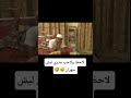 لا وانوب حتى الموبايل مل من عندي وكلها نايمه اكسبلور Shortvideo 