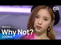 LOONA(이달의 소녀) - Why Not? @인기가요 inkigayo 20201025