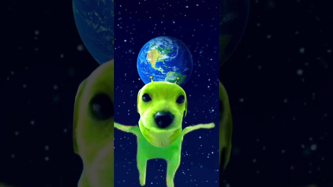 Alien dog