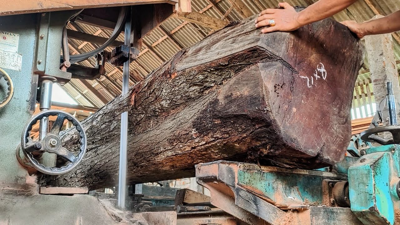Amazing!! Very strong big and long wood sawing process - YouTube