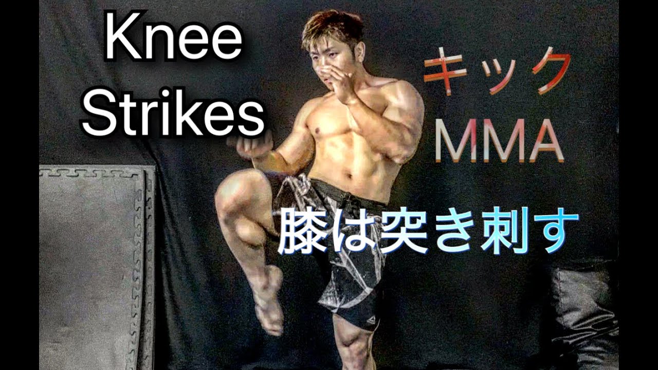 膝蹴りは突き刺す！[Knee Strikes]