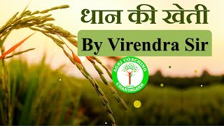 Rice Cultivation || धान की खेती || Class by Virender Sir