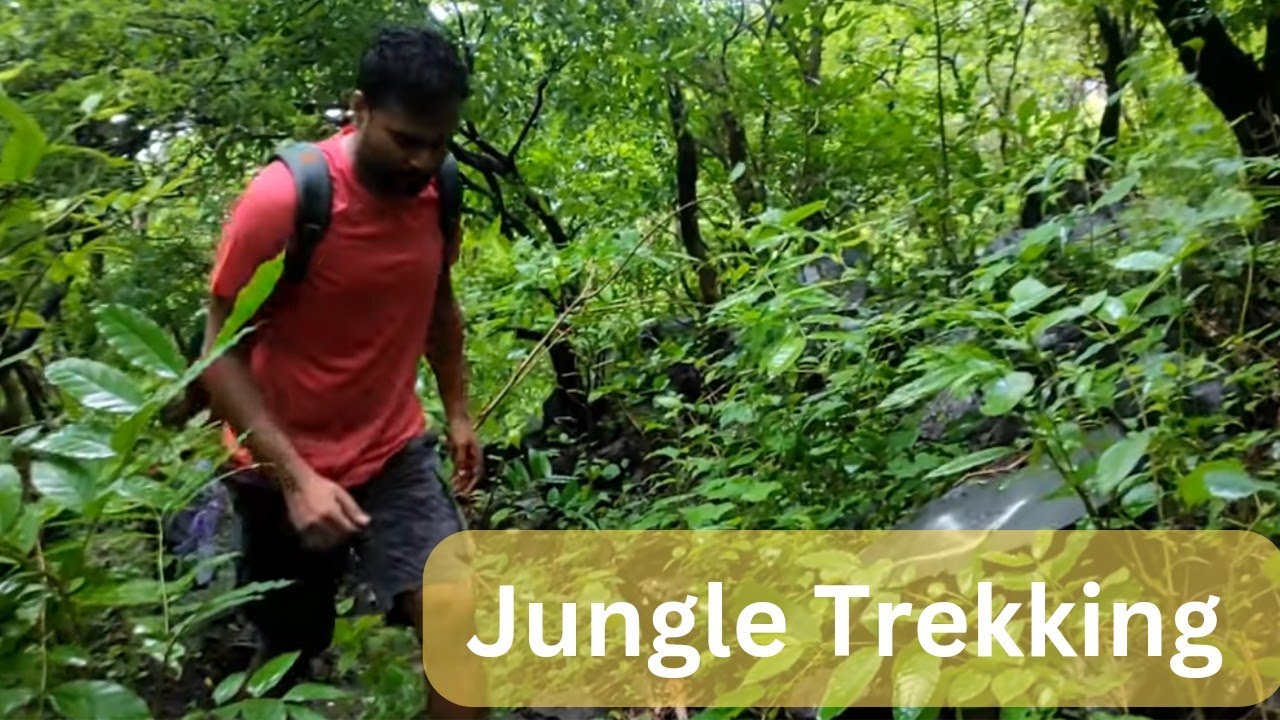 Pawagadh Sinhasan Trek | Trekking Place Near Vadodara | Peakhikers India