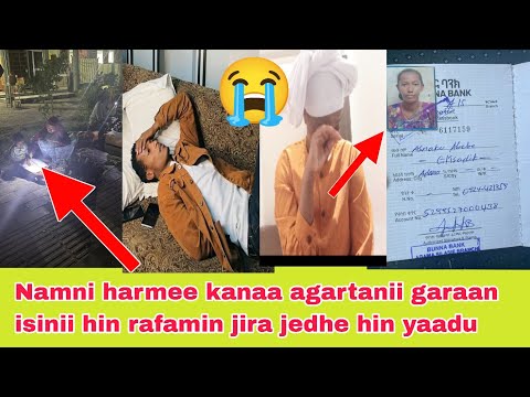 Hadhaa Jabduu Jabeffamu Qabduu Namoni Degarru Barbadan Asnaku Abebe Lakk 0924421359 Her5299527000438 