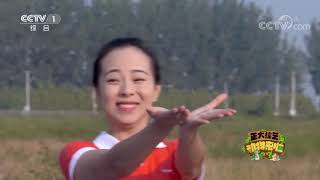 《正大综艺·动物来啦》 20191124| CCTV