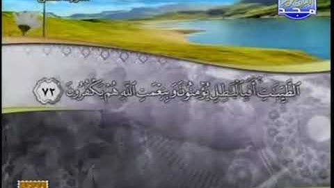 ما تيسر من سورة النحل يحيى حوا