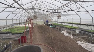 Federal program supporting next generation of farmers comes to end, shutdown ends Iowa fellowship