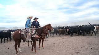Welcome to Vera Earl Ranch!