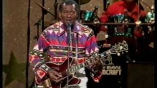 Video thumbnail of "School Days ~~~ Chuck Berry ~~~ Melbourne 1989"