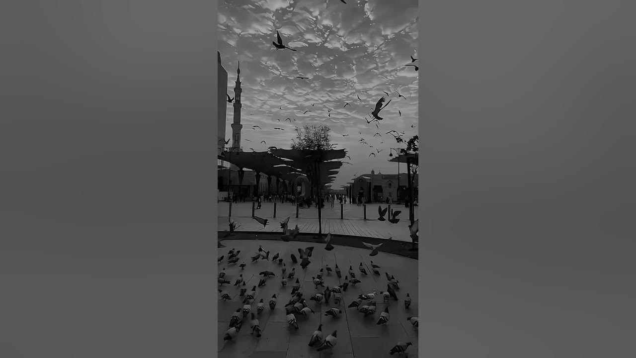 The way of the tears 😌🎧 || Muhammad Al Muqit || Nasheed || speed up ||
