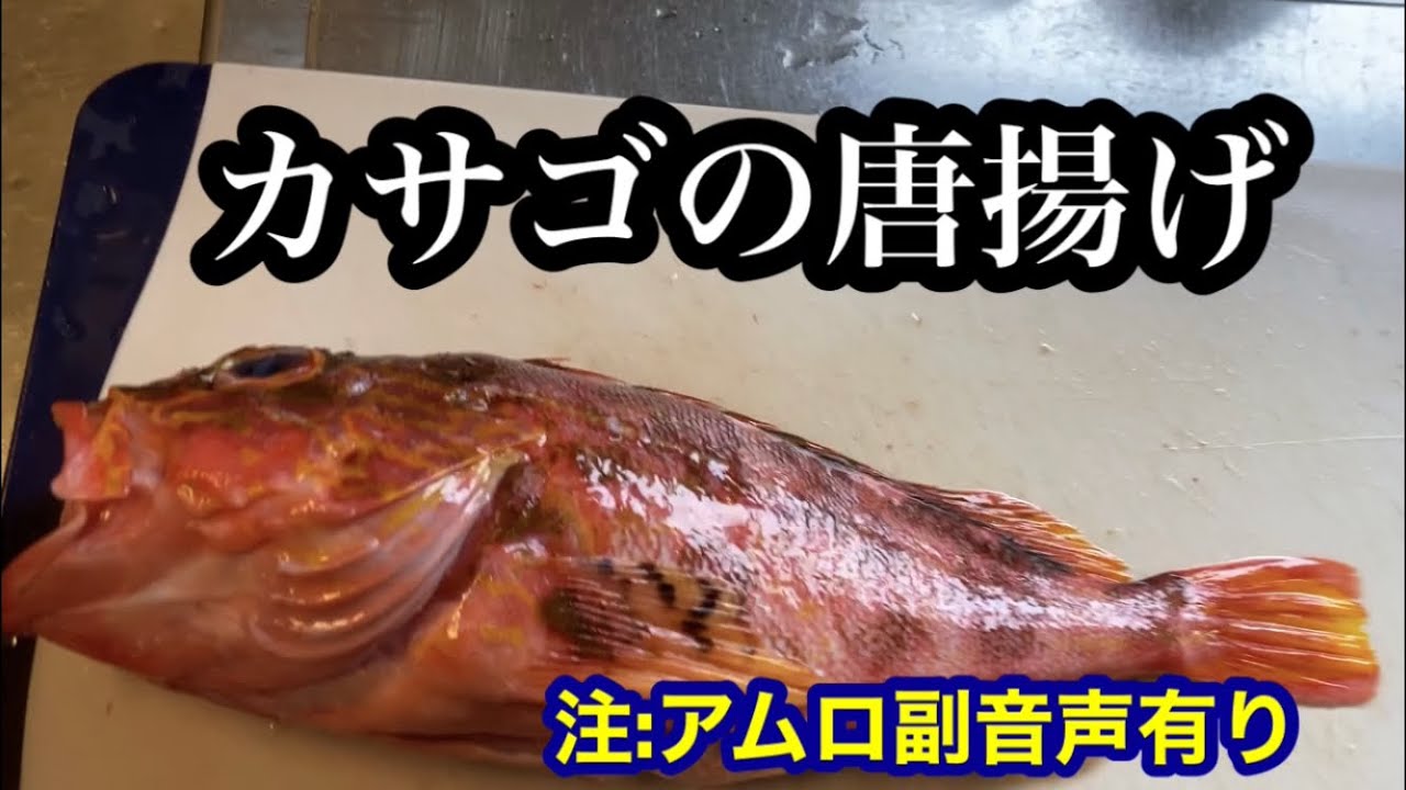アムロ副音声付 カサゴを唐揚げに 美味い 芸能人youtubeまとめ