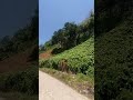 El valle de YUMURI MATANZAS