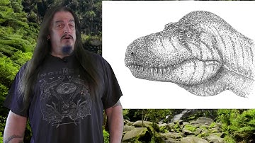 Systematic Classification of Life - ep29 Zatheria