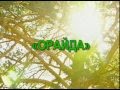 ОРАЙДА