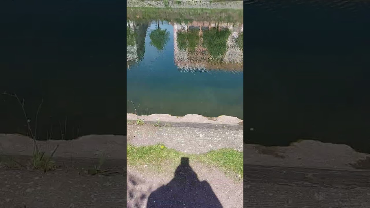 في قهوة ع المفرق فيروز  