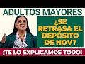 ⏳¿Se retrasa el depósito de noviembre?💳