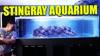 My SALTWATER STINGRAY aquarium  The king of DIY
