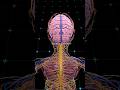 Inside Your Brain 🧠✨