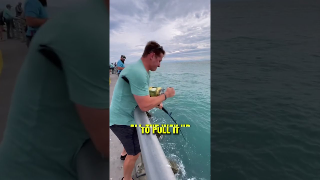 He Caught The Biggest Fish Ever 