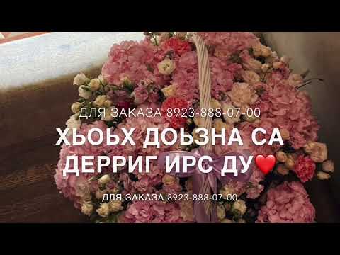Радима Зармаева Дукха