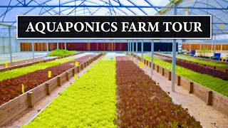 Sustainable Harvesters Commercial Aquaponics Farm Tour by OPTFOOD 24,689 views 4 years ago 12 minutes, 6 seconds