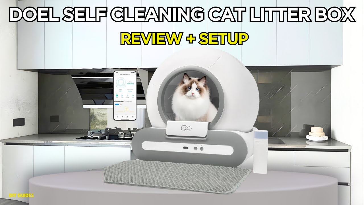 Doel Self Cleaning Cat Litter Box Review + Setup | Is It Really Hassle Free?