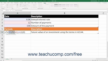 Microsoft Excel 2019 & 365 Training for Lawyers: The Fv Function, Tutorial