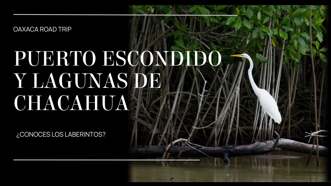 Oaxaca Road Trip, Día 1 y 2,  Puerto Escondido y Lagunas de Chacahua
