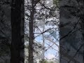El Condor Pasa · Pan Flute: Gheorghe ZamfirㆍDaniel Alomia Robles