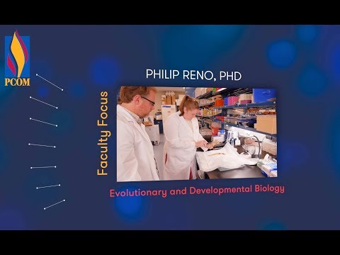 What is Evolutionary and Developmental Biology? | PCOM