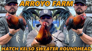 Best Birds Kelso Sweater Hatch Roundhead ARROYO FARM CALIFORNIA - Farm Visit