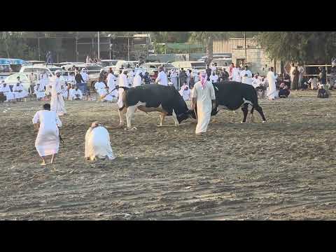 ميدان التنور الخطاف و الاتصالات