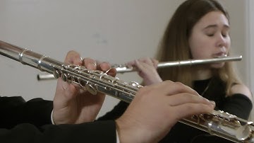 Georg Philipp Telemann – Ouverture-Suite in A minor, TWV 55:a2 (1736), selected parts