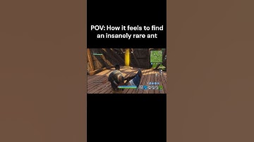 How it Feels to Find an Army Ant Queen #ants #wildlife #memes