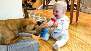 The Amazing World of Furry Friends | Funny Animals and Kids 👶🐶