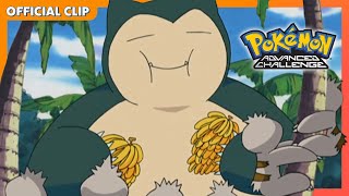 Snorlax Has Eaten Everything! | Pokémon: Advanced Challenge | Official Clip