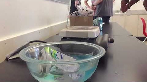 Anchoring Phenomenon 2 - Can Crush