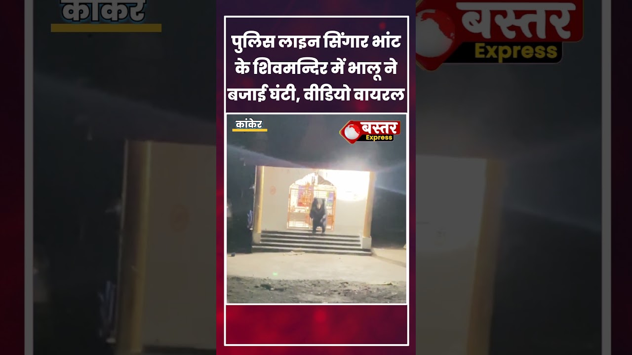पुलिस लाइन सिंगार भांट के शिवमन्दिर में भालू ने बजाई घंटी, वीडियो वायरल 