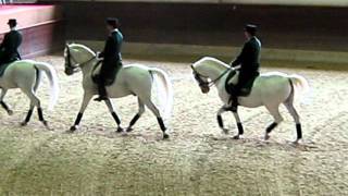 The performance of classical riding school in famous Lipica, Slovenia